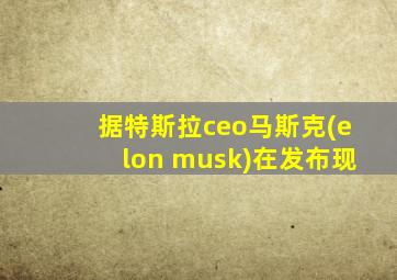 据特斯拉ceo马斯克(elon musk)在发布现